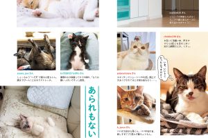 【試し読み付き】6月25日発売の『クロワッサン』最新号は「大人の楽トレ。」