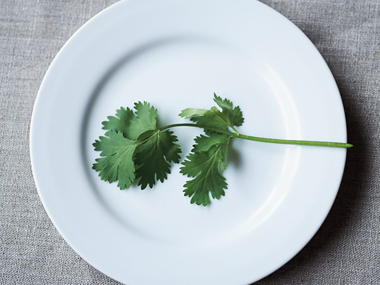 パクチーページ パクチー好きにはたまらない、桜海老とキャベツのパッタイ風パクチー