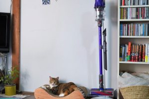 猫2匹のいる家。ダイソンデジタルスリムで掃除時間が劇的に変わった！