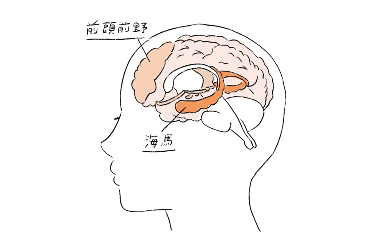 コロナ不安で何だか物忘れが増えた…という人のための４つの記事。