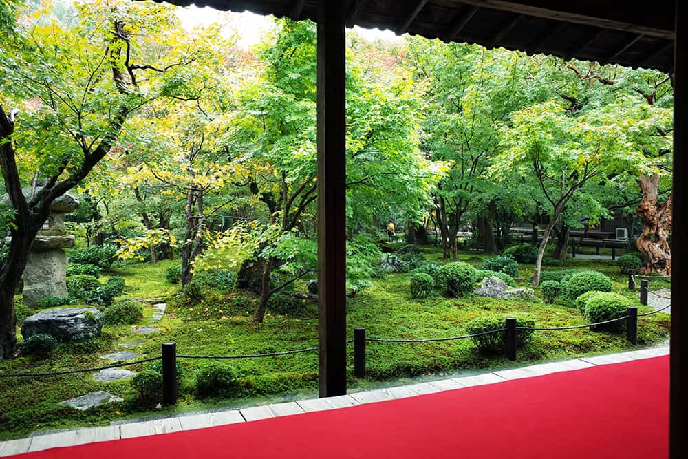 【クロワッさんぽ】感嘆の声が上がる、大人の京都・苔旅を提案！