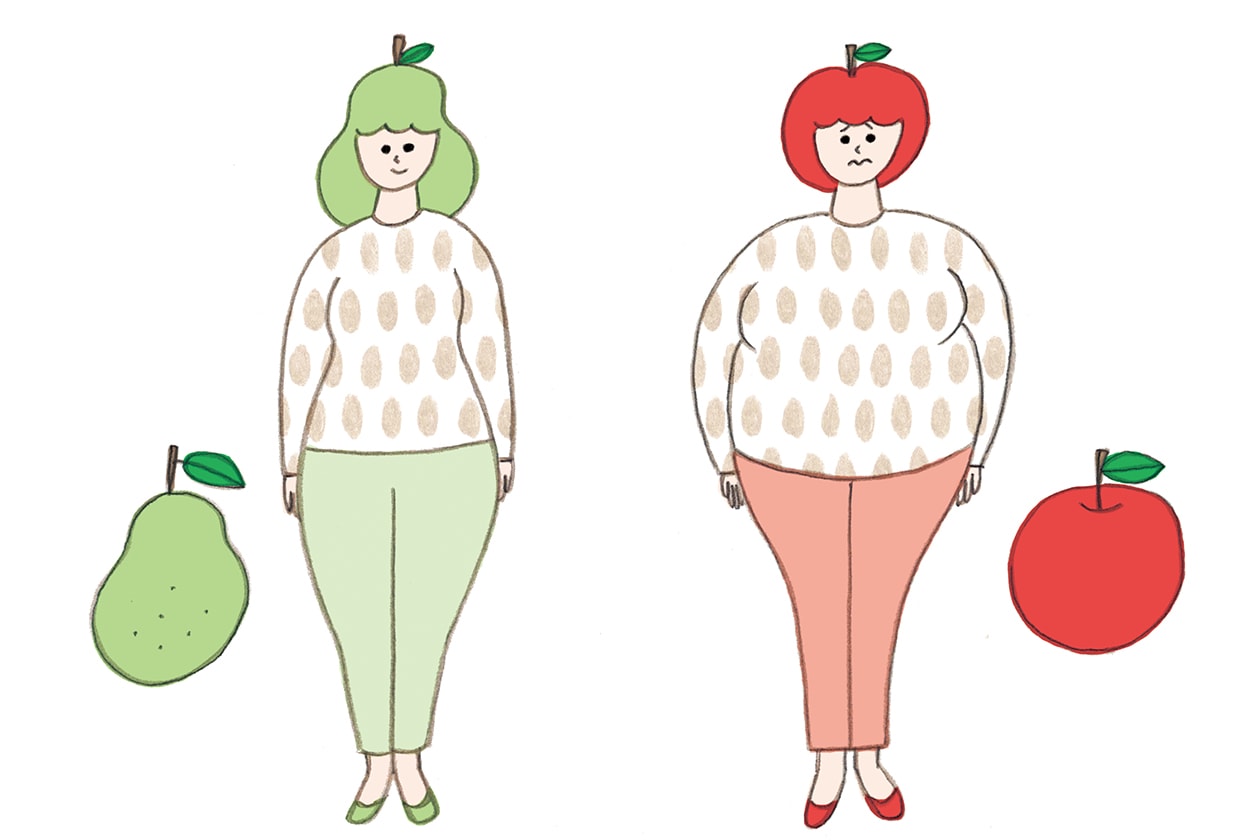 内臓脂肪と皮下脂肪はどう違う? 怖いのはシニアに多い内臓脂肪肥満だった。