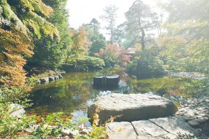 「禁足地だった神嶽山を庭園にしているので、気のパワーがすごい。光が降り注いでくるみたい」と辛酸さん。