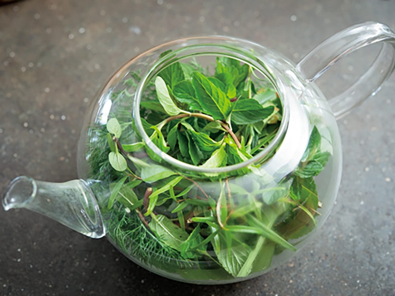 フレッシュハーブティー【爽やかドリンクレシピ】 くらし クロワッサン オンライン