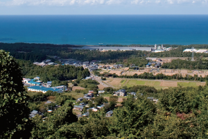 室町時代からその名が続いている福井県棗地区。ヒラクの原料となるナツメは無農薬で栽培。