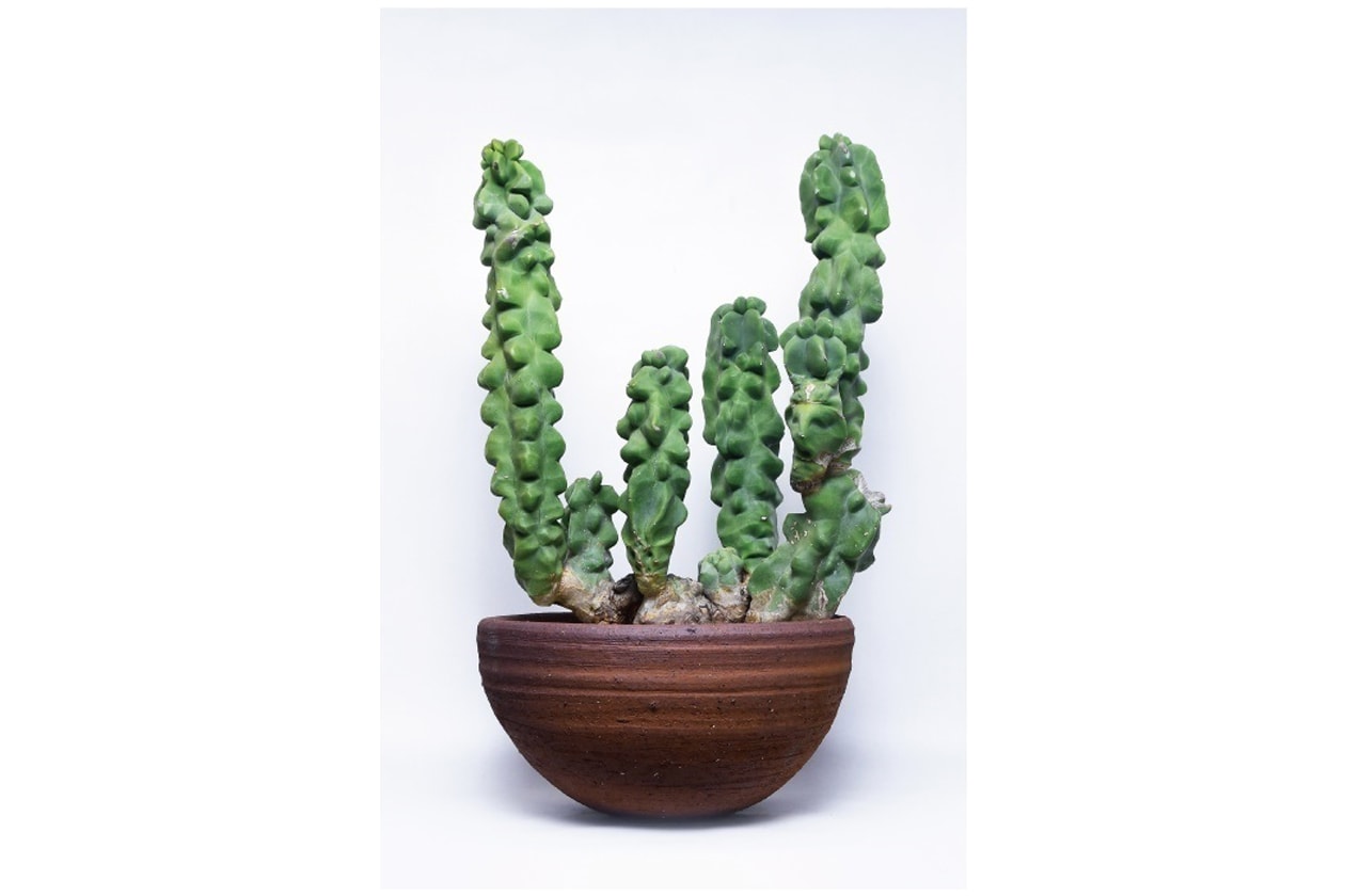 独自の美しさを提案する植物屋『叢 – Qusamura』のイベントが伊勢丹