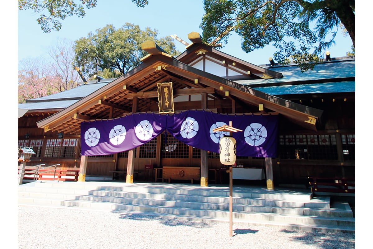 猿田彦神社へ参拝、「仕事のステップアップを導いてくれます」（モデル・本多麻衣さん）