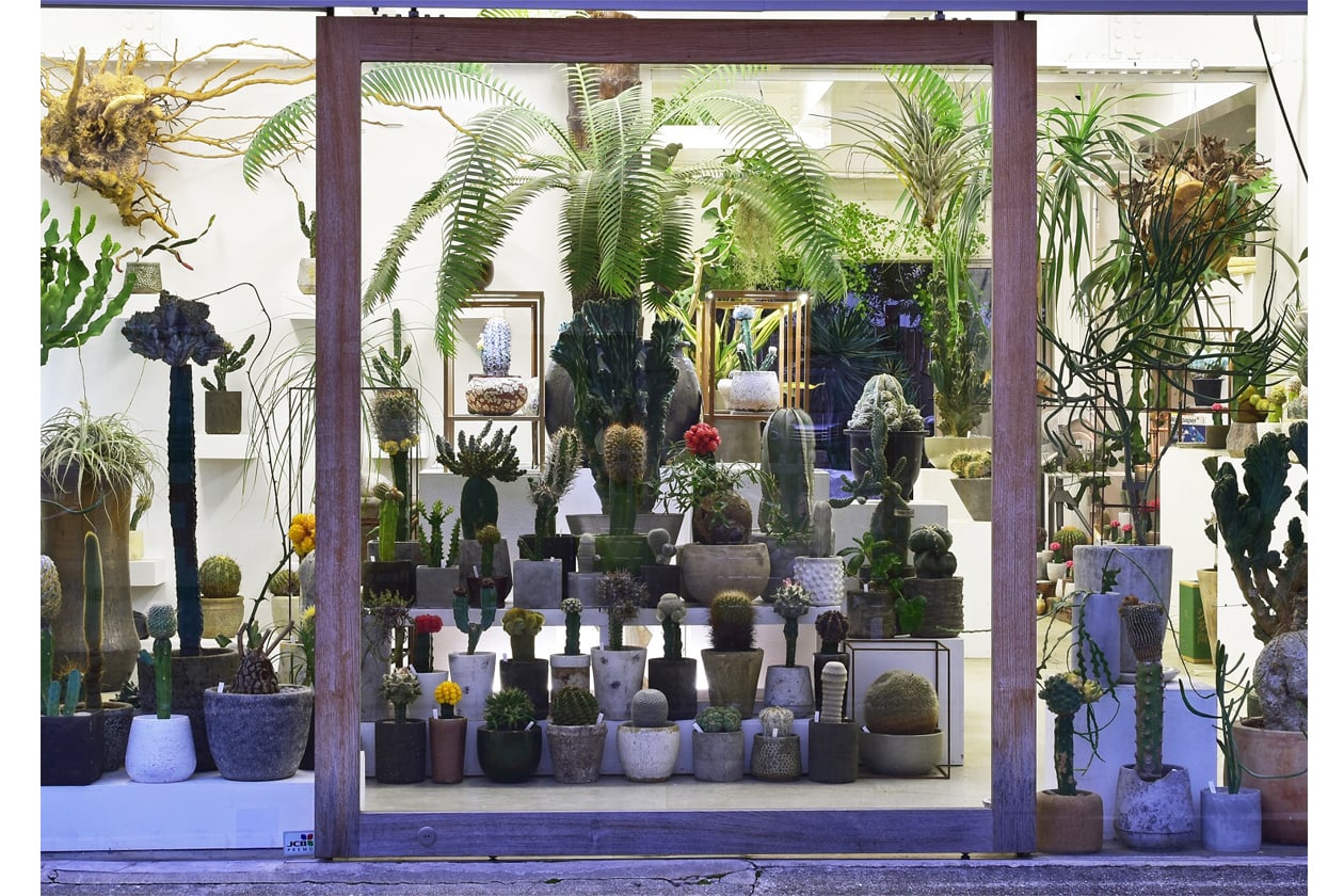独自の美しさを提案する植物屋『叢 – Qusamura』のイベントが伊勢丹新宿店で開催中。