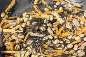 Photo：ヒャダインさん