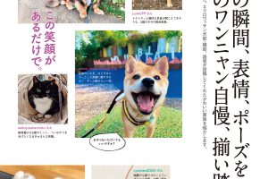 【試し読み付き】10月25日発売の『クロワッサン』最新号は「犬と猫のいる暮らし。」