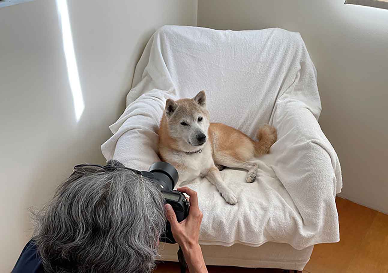 今このときを幸せに。シニア犬との暮らし。【編集部こぼれ話】