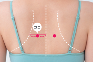 【探し方】背骨と肩甲骨の内円の中点にあり、高さは肩甲骨の中心あたり。自分ではなかなか押せないツボゆえ、胸郭全体を動かして刺激を与える。
