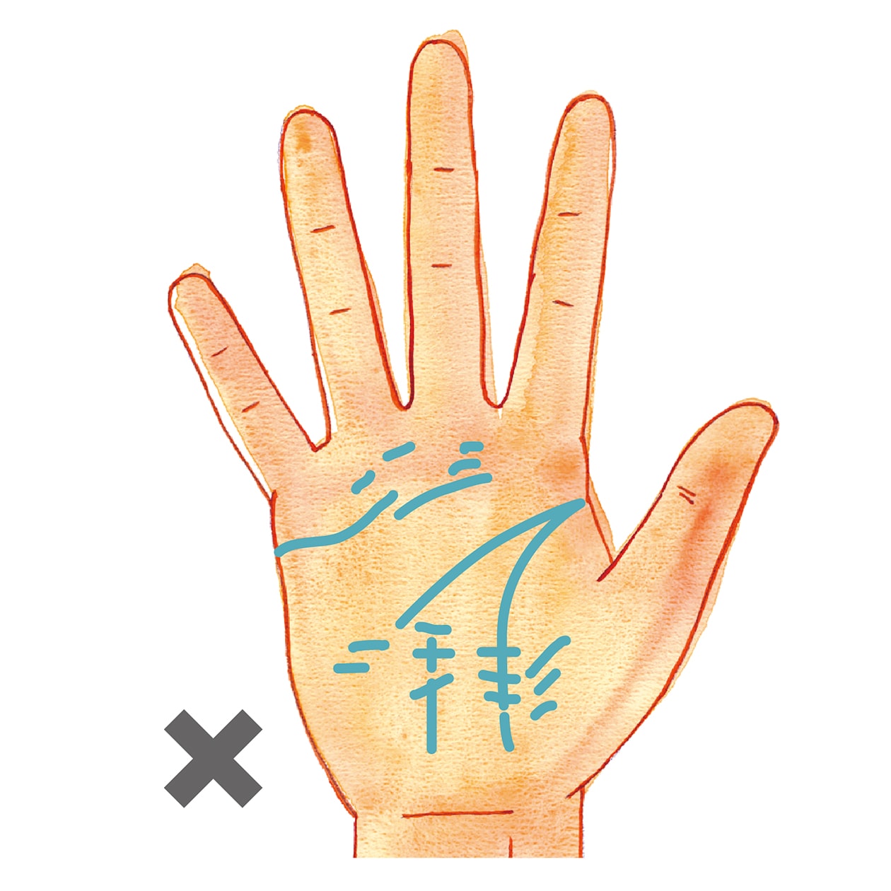 未来を示す右手で手相を読んでみよう。 | くらし | クロワッサン