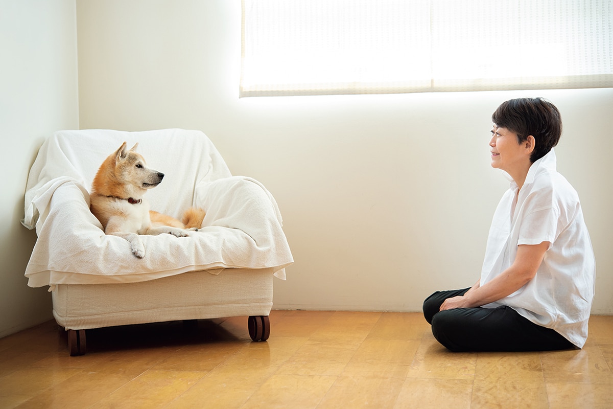 料理研究家・川津幸子さんの、シニア犬と暮らす幸せな日々。
