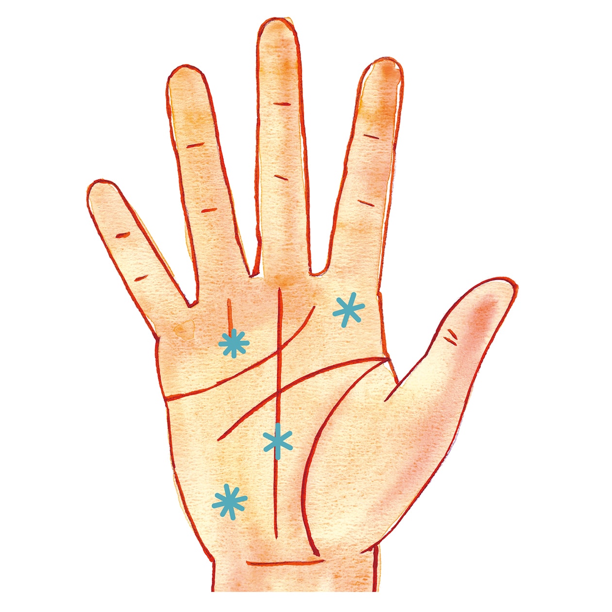 未来を示す右手で手相を読んでみよう。 | くらし | クロワッサン