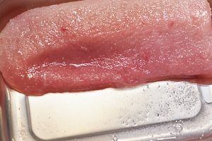 粗塩はすりこまずに、全体にまぶす。魚の水分が染み出て塩が溶けるまでの時間は魚によって変わる。