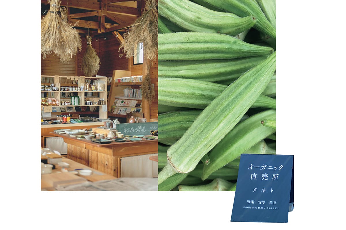 都会のシェフが続々移住中の長崎・小浜へ、料理家・山脇りこさんの美味しい旅。