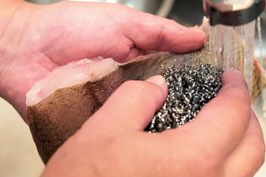 1.カレイの皮面は、スチールたわしで汚れを落とす。