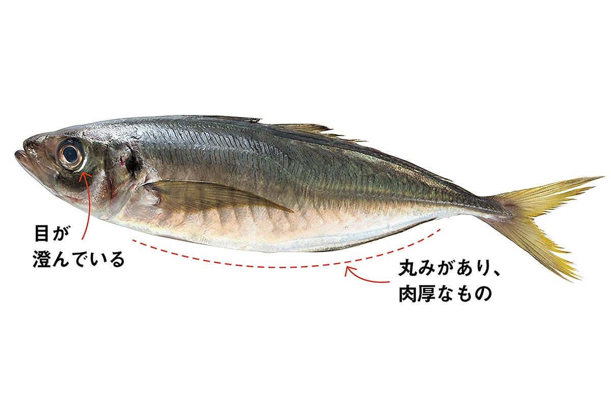 上田淳子さんに教わる、おいしい魚の選び方。