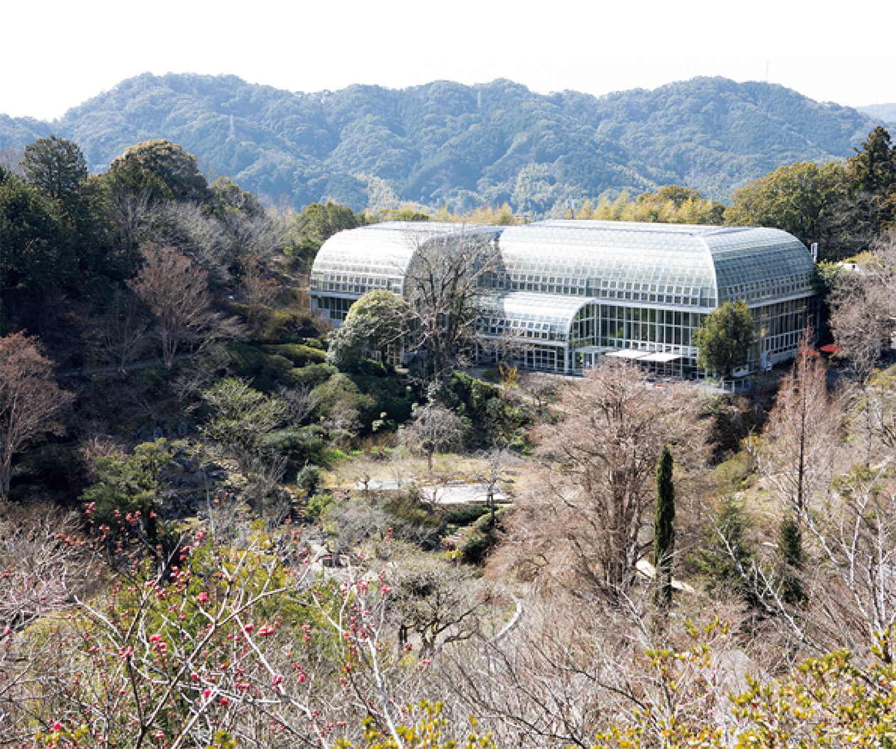 牧野富太郎博士の功績を伝える広大な植物園へ。高知・花と草木をめぐる