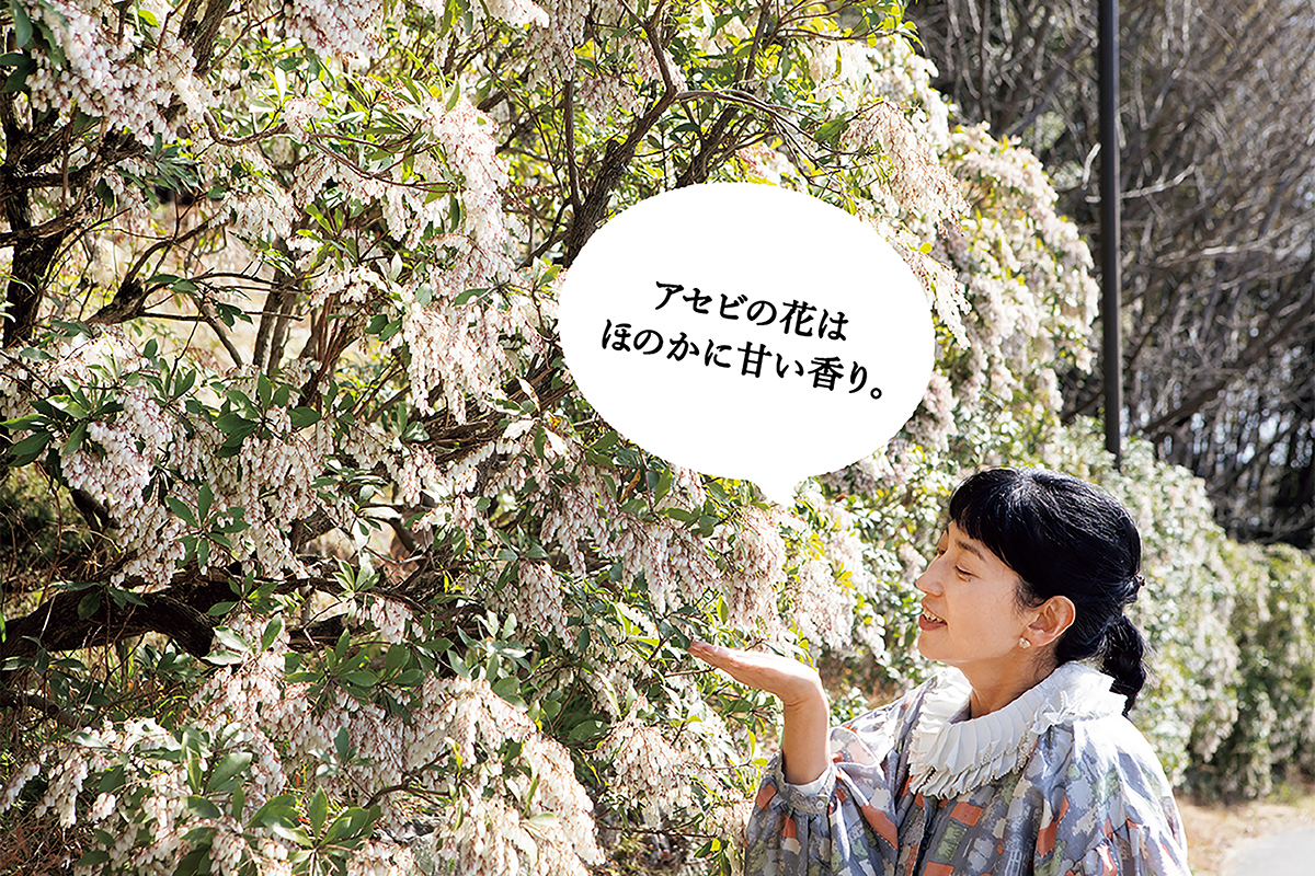 牧野富太郎博士の功績を伝える広大な植物園へ。高知・花と草木をめぐる旅。