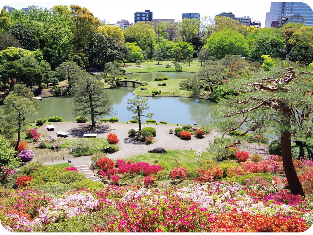 花盛りの大名庭園を巡る、駒込〜小石川、植物の散歩道。