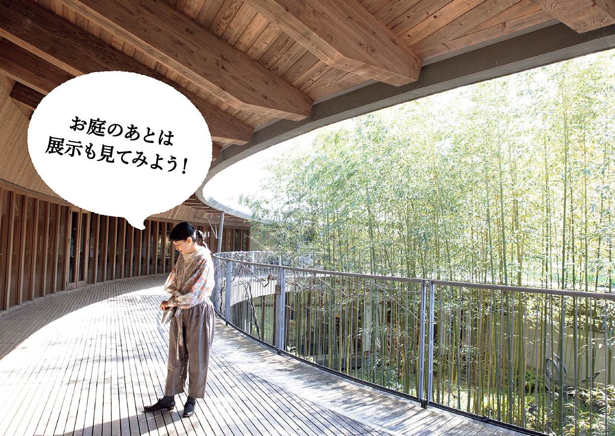 牧野富太郎博士の功績を伝える広大な植物園へ。高知・花と草木をめぐる