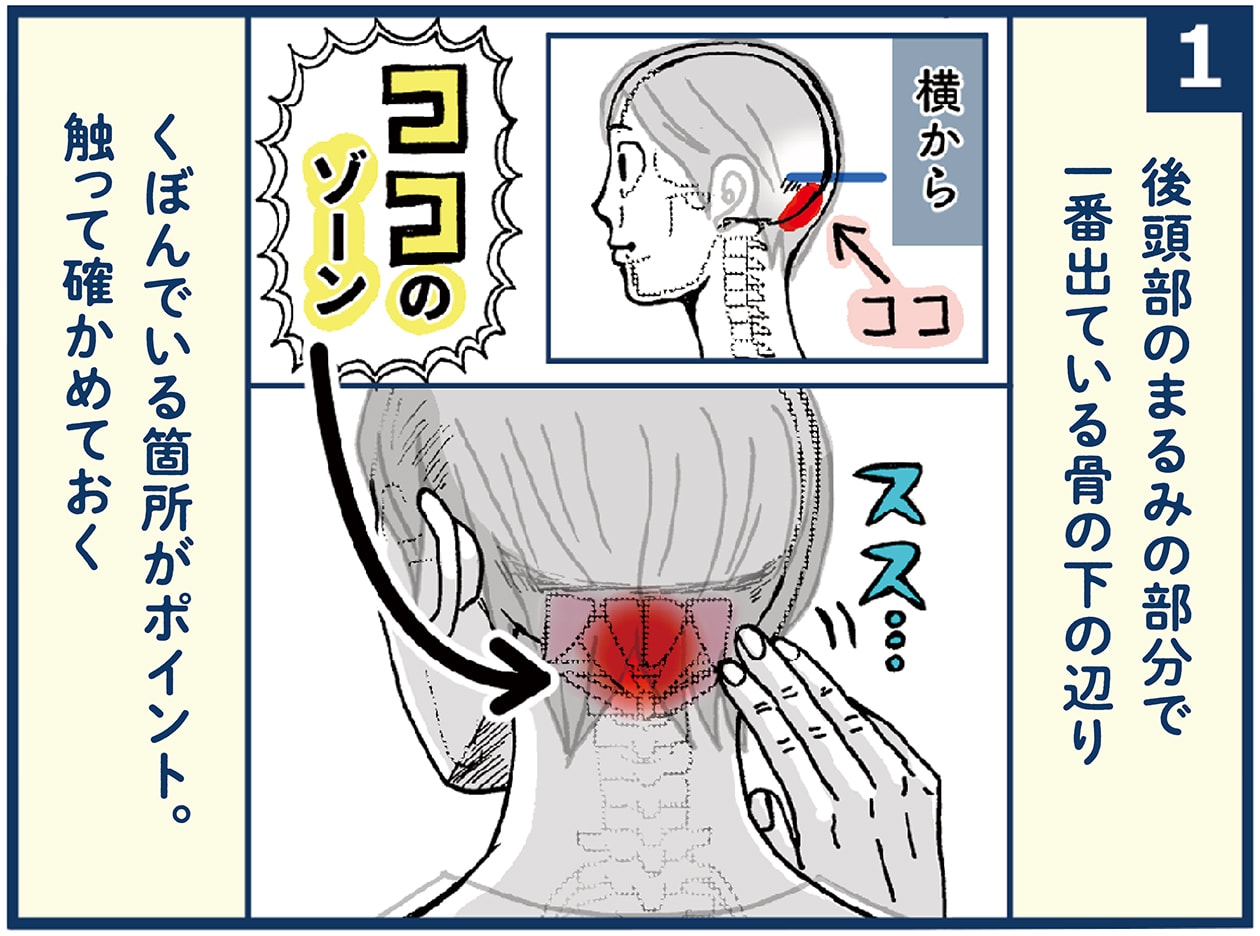 眼精疲労による肩こり、頭痛・めまいの緩和に。首こり＆目の疲れのトリガーポイントって何？【崎田ミナのつかれにピンポイント！】 | くらし |  クロワッサン オンライン