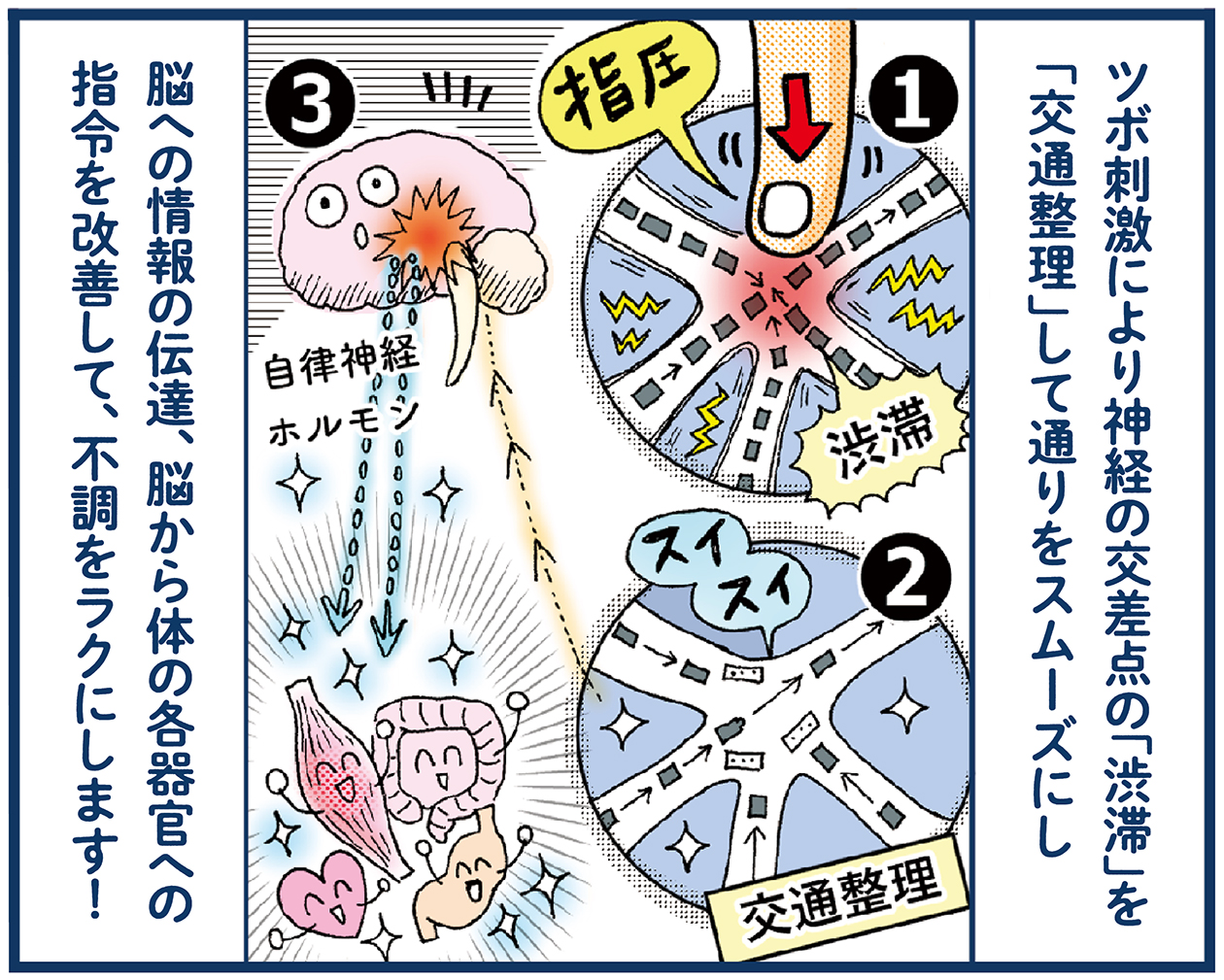 ツボの基本【崎田ミナのつかれにピンポイント！】 | くらし