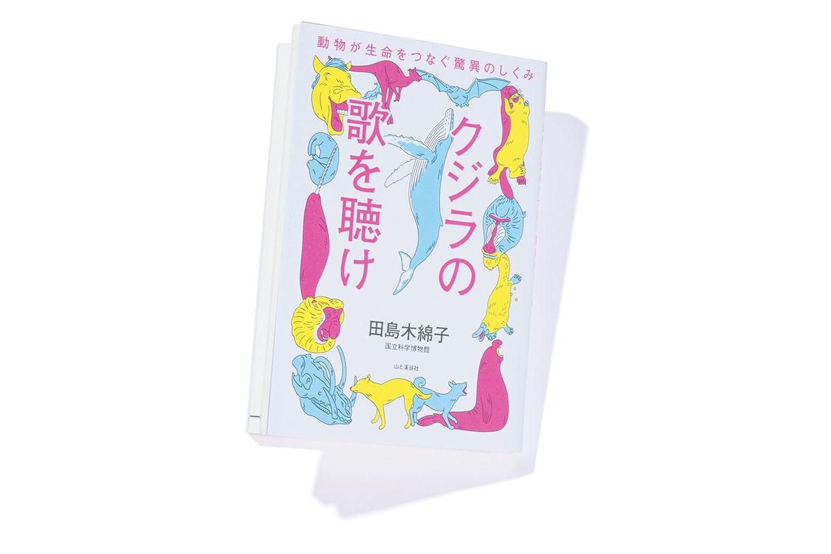 『クジラの歌を聴け　動物が生命をつなぐ驚異のしくみ』著者、田島木綿子さんインタビュー。「動物も人間も、生きているだけで偉いんです」