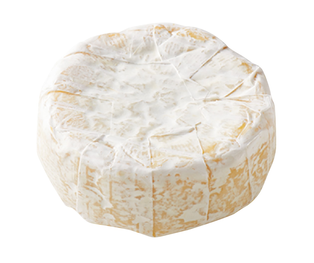 腸の健康や骨粗鬆症の予防にも、チーズはすぐれた栄養食【発酵食大図鑑】