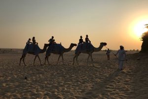 夕方のツアーに参加すれば、砂漠に沈む雄大な夕日を背景にしたキャメルライドができる。