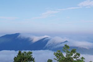 東京都最高峰、雲取山（2017m）は山 頂からの眺望がすばらしいことも魅力。