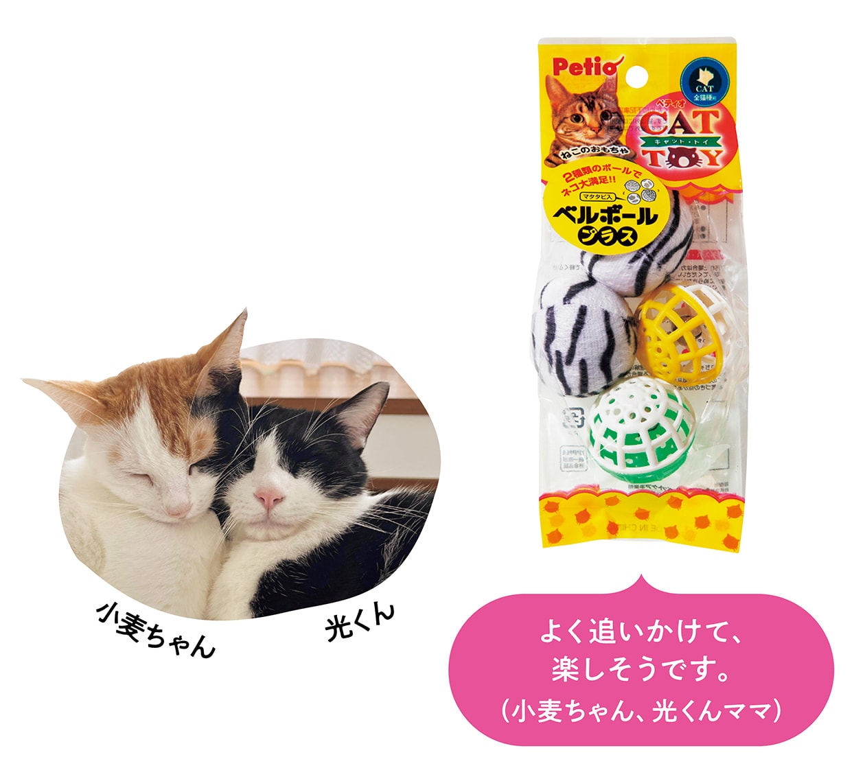 選り好みの激しいにゃんちゃんたちも納得、愛猫家が選んだとっておきの