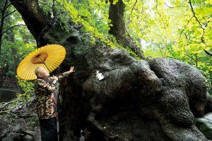 江原さんと訪れたのは、熱海の〈來宮神社〉。