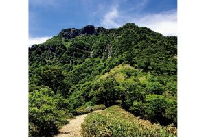 西日本最高峰の石鎚山。麓に本社、山中に三社を擁する石鎚神社最大の御祭儀は、7月の「お山開き大祭」。夏山では「キレンゲショウマ」も見られるかも。