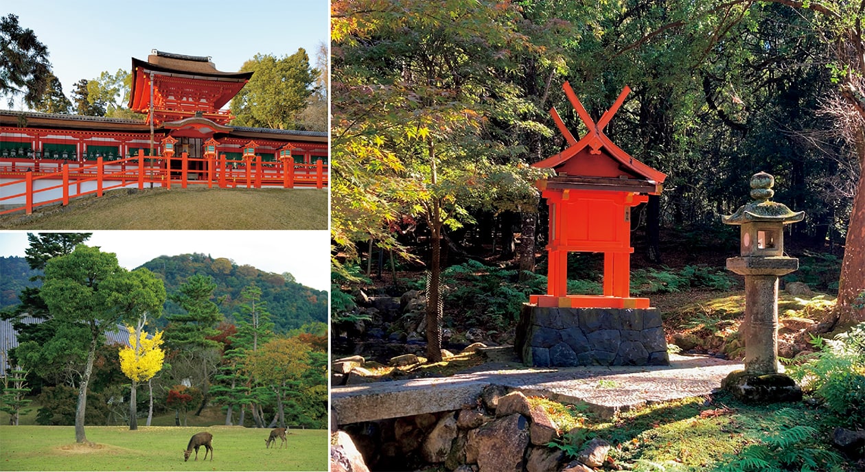 願いを叶える後押しをいただこう、龍神専門家に聞く龍のゆかりの神社4。 | 開運 | クロワッサン オンライン
