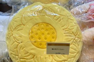 東京国立博物館のミュージアムショップ。東博名物、展示物のクッション！今回は涅槃像の枕の蓮の花。
