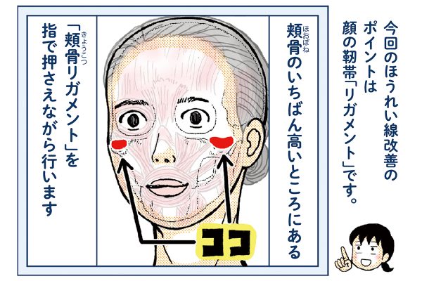 ほうれい線を改善するポイントは顔の靭帯=リガメント！【崎田ミナのつかれにピンポイント！】