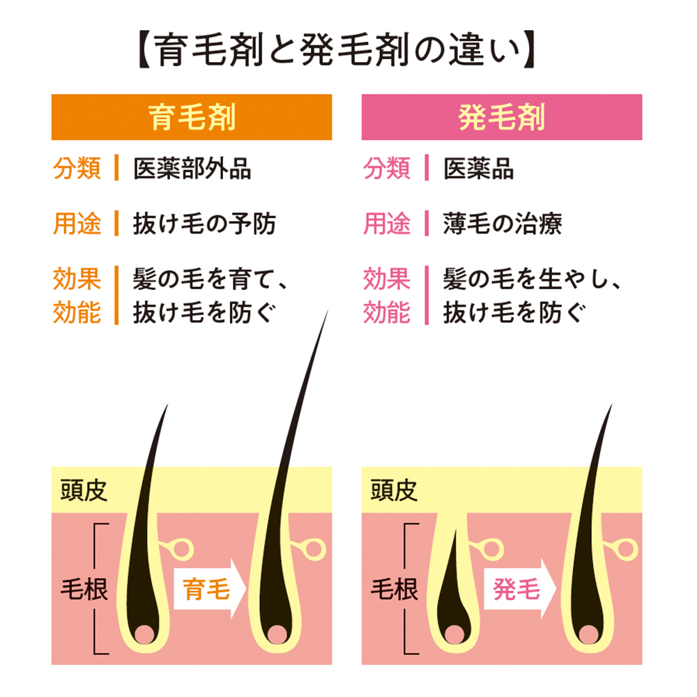 育毛 と 発 毛 の 違い