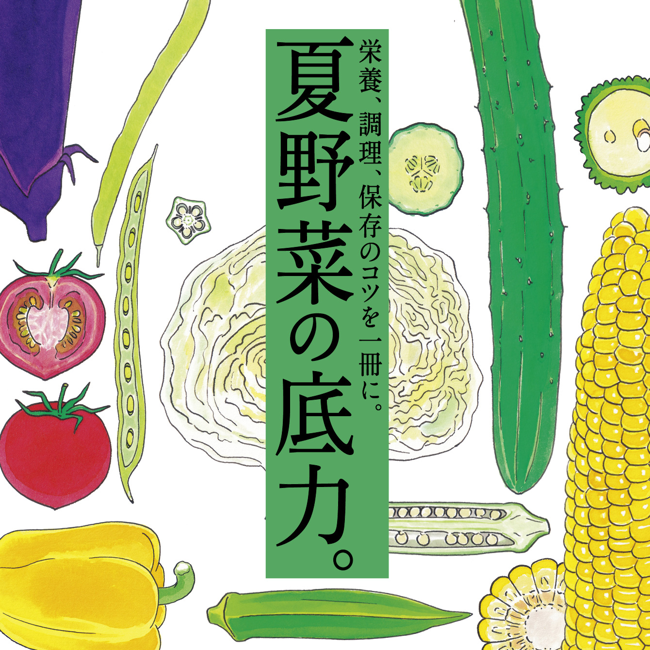 8月9日発売の『クロワッサン』最新号は「疲れが吹き飛ぶ 夏野菜の底力
