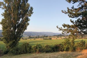 家の敷地から連なる農村の風景。この地はパルミジャーノの産地でもある。