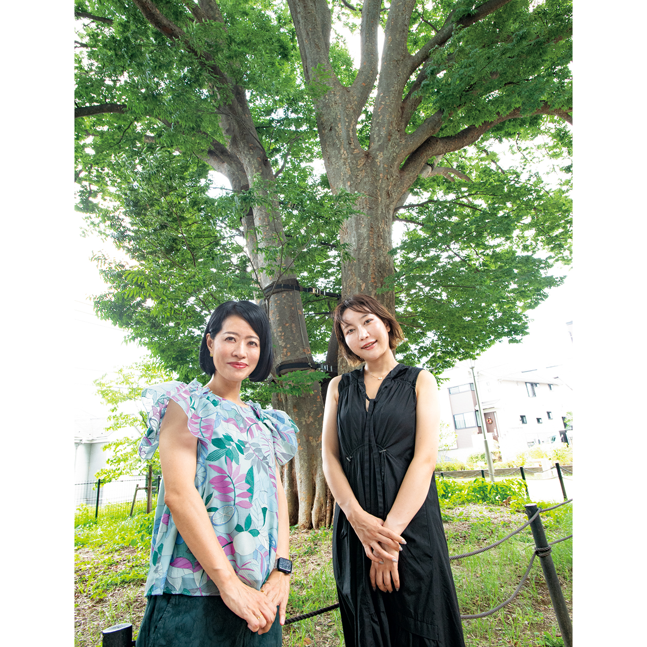 植物療法のアロマテラピー アロマテラピ-の科学 | 鳥居 鎮夫 |本 | 通販 | Amazon