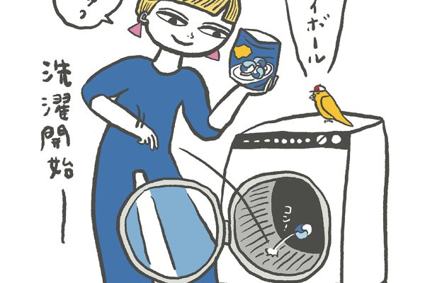 手間と時間がかかる「洗濯」が驚くほどラクになる！プロが勧める道具や家電、サービス。