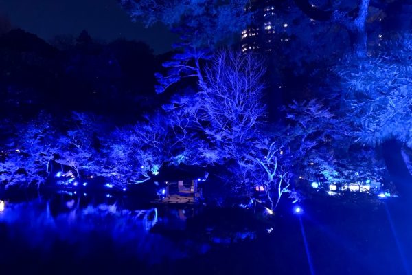 八芳園が「青」に染まる！『TOKYO BLUE GARDEN 2024-2025』開催。