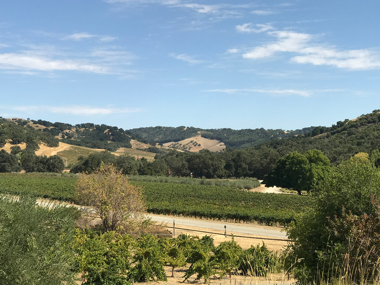 カリフォルニアワイン第3の聖地で、優雅で美味しいワイナリー体験を