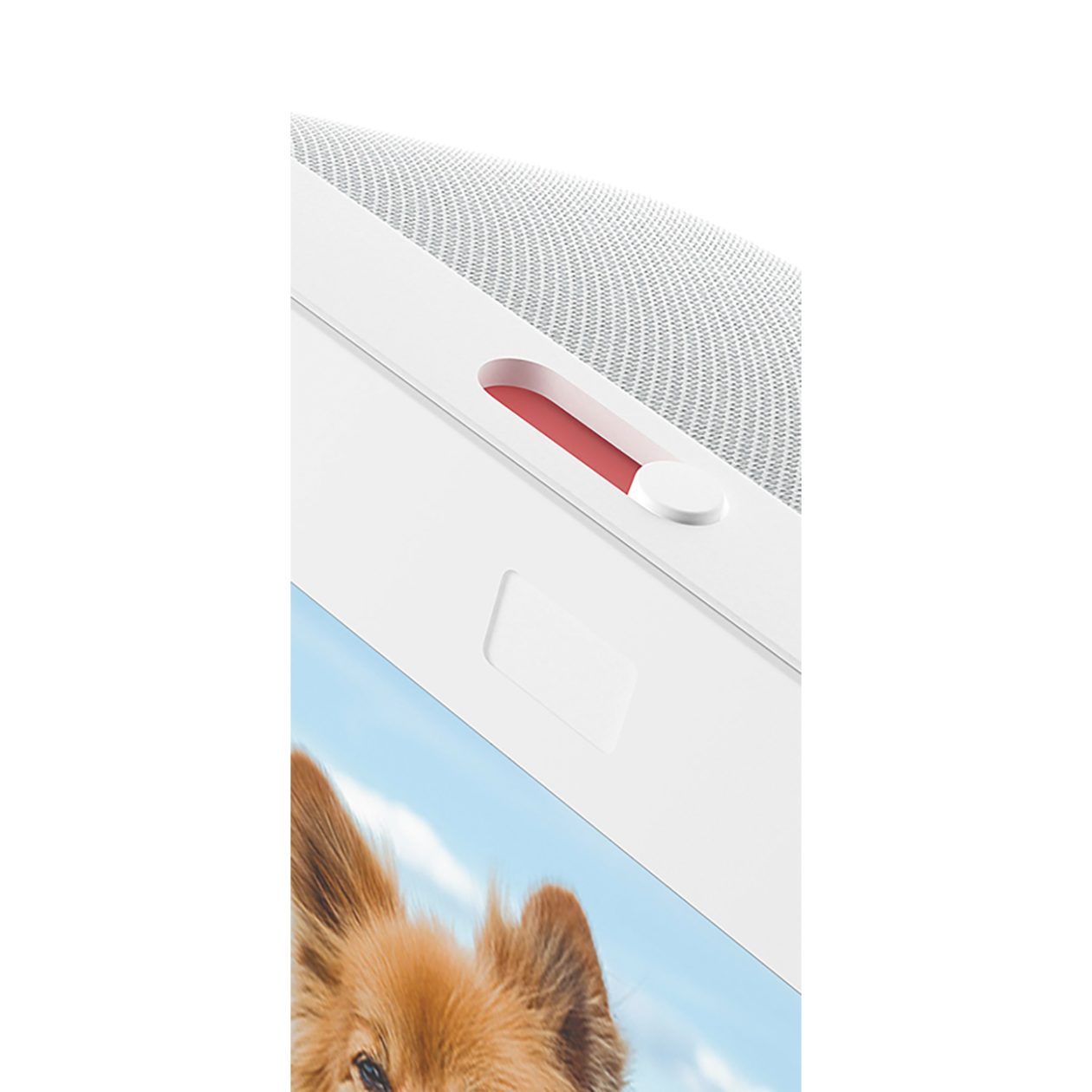 たけまる　その他のお客様のご購入はお控えください。 購入しないでください。確認用ページ 購入しないでください】確認用