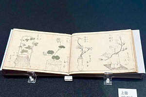 『一目千本』遊女ひとりひとりの個性を、花に見立てて紹介した（安永3年＜1774年>3月。北尾重政・画）