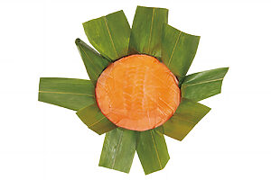 旅情をかき立てる「駅弁図鑑」その土地ならではの味が魅力