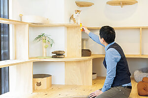 内心ドキドキの猫さん発見！ このおやつ、よかったらどうぞ〜